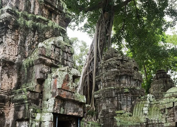 Siemreap Vasinh Siem Reap